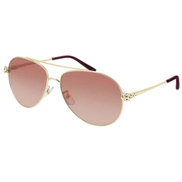 Solar Cartier CT0233S 002