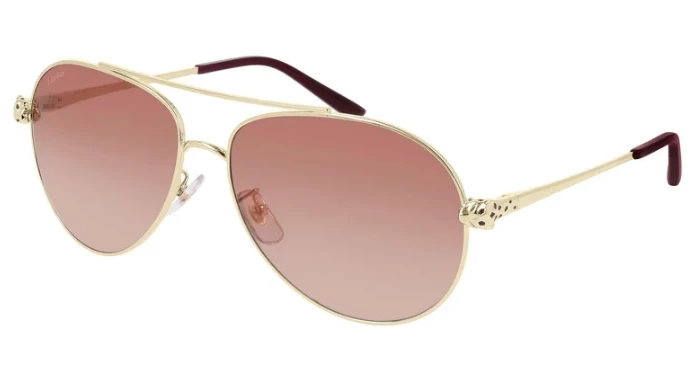 Solar Cartier CT0233S 002