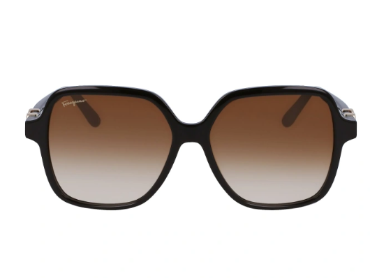 Solar Salvatore Ferragamo 1083S