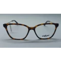 Armação Colcci C6116 F47 53 Marie